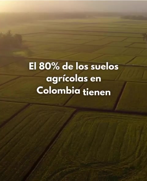Tecnología y análisis aplicados a la nutrición de cultivos